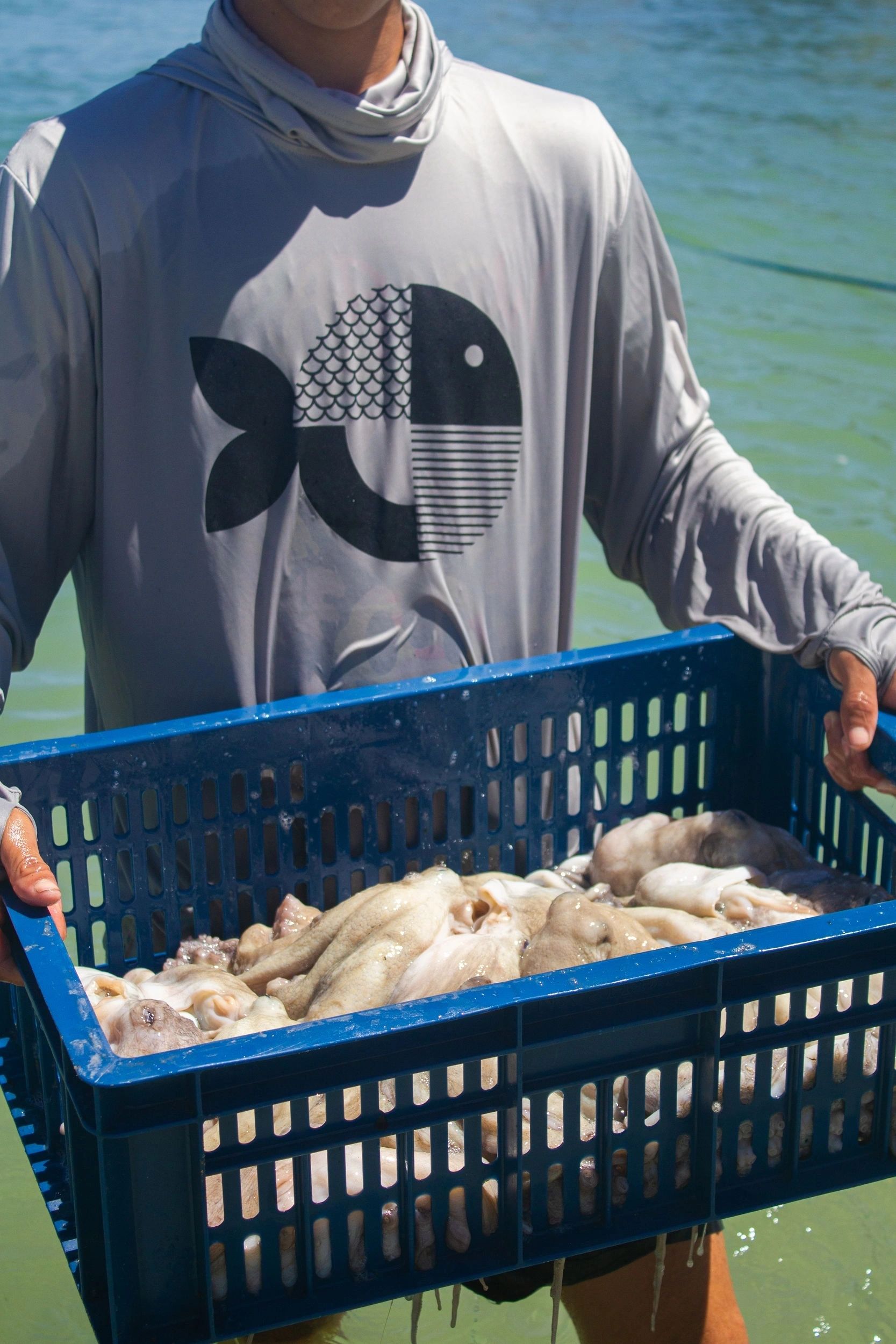Seafood production at TusMares partner facilities